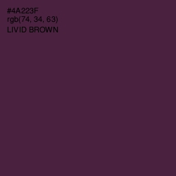 #4A223F - Livid Brown Color Image