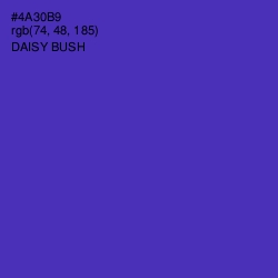 #4A30B9 - Daisy Bush Color Image