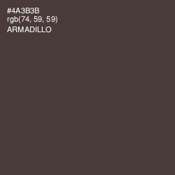 #4A3B3B - Armadillo Color Image