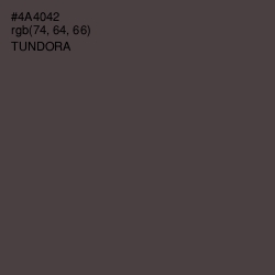 #4A4042 - Tundora Color Image