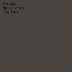 #4A4440 - Tundora Color Image