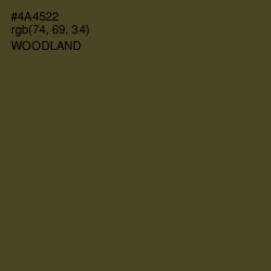 #4A4522 - Woodland Color Image