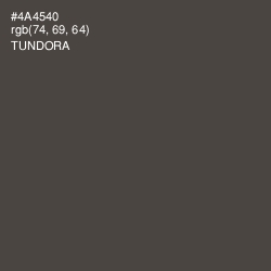 #4A4540 - Tundora Color Image