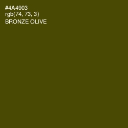 #4A4903 - Bronze Olive Color Image