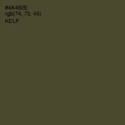 #4A492E - Kelp Color Image