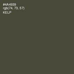 #4A4939 - Kelp Color Image