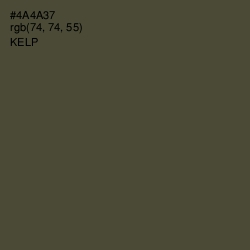 #4A4A37 - Kelp Color Image