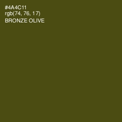 #4A4C11 - Bronze Olive Color Image