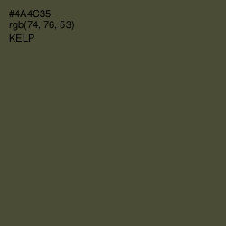 #4A4C35 - Kelp Color Image