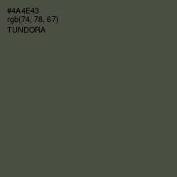 #4A4E43 - Tundora Color Image