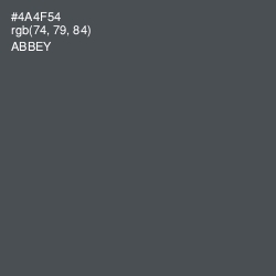 #4A4F54 - Abbey Color Image