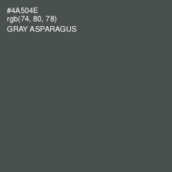 #4A504E - Gray Asparagus Color Image