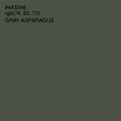 #4A5346 - Gray Asparagus Color Image