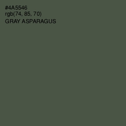 #4A5546 - Gray Asparagus Color Image