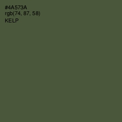 #4A573A - Kelp Color Image