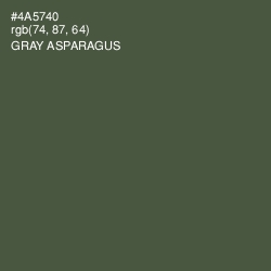 #4A5740 - Gray Asparagus Color Image