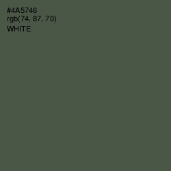 #4A5746 - Gray Asparagus Color Image