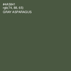 #4A5841 - Gray Asparagus Color Image
