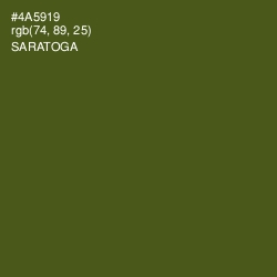#4A5919 - Saratoga Color Image