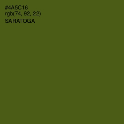 #4A5C16 - Saratoga Color Image