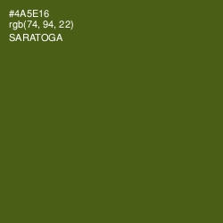 #4A5E16 - Saratoga Color Image