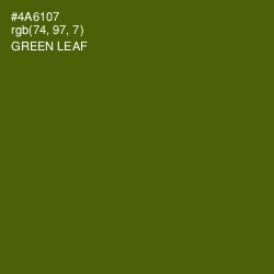 #4A6107 - Green Leaf Color Image