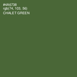 #4A6738 - Chalet Green Color Image