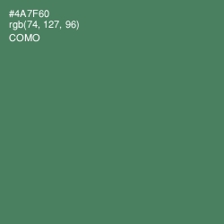 #4A7F60 - Como Color Image