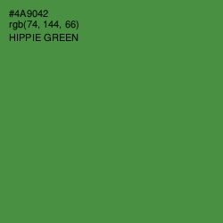 #4A9042 - Hippie Green Color Image