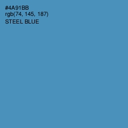 #4A91BB - Steel Blue Color Image