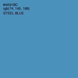 #4A91BC - Steel Blue Color Image