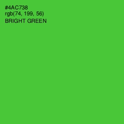 #4AC738 - Bright Green Color Image