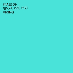 #4AE3D9 - Viking Color Image