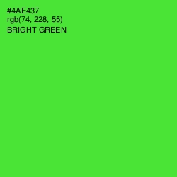 #4AE437 - Bright Green Color Image