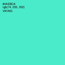 #4AEBCA - Viking Color Image