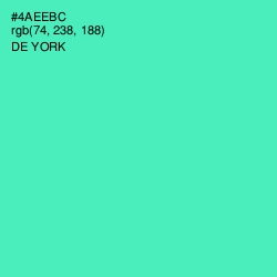 #4AEEBC - De York Color Image