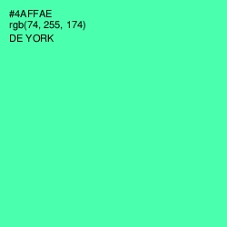 #4AFFAE - De York Color Image