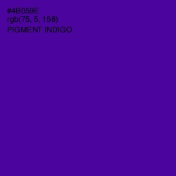 #4B059E - Pigment Indigo Color Image