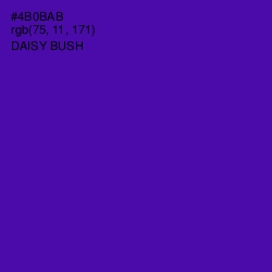 #4B0BAB - Daisy Bush Color Image