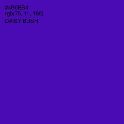 #4B0BB4 - Daisy Bush Color Image