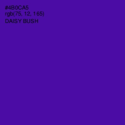 #4B0CA5 - Daisy Bush Color Image