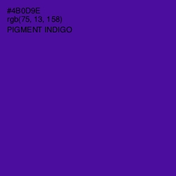 #4B0D9E - Pigment Indigo Color Image