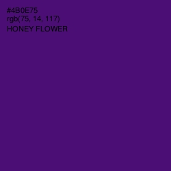 #4B0E75 - Honey Flower Color Image