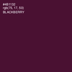 #4B1132 - Blackberry Color Image
