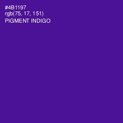 #4B1197 - Pigment Indigo Color Image