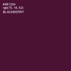 #4B1234 - Blackberry Color Image