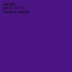 #4B1683 - Pigment Indigo Color Image