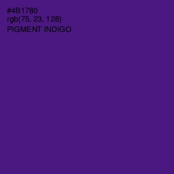 #4B1780 - Pigment Indigo Color Image