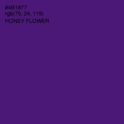 #4B1877 - Honey Flower Color Image