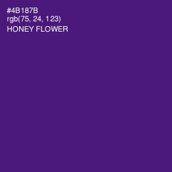 #4B187B - Honey Flower Color Image